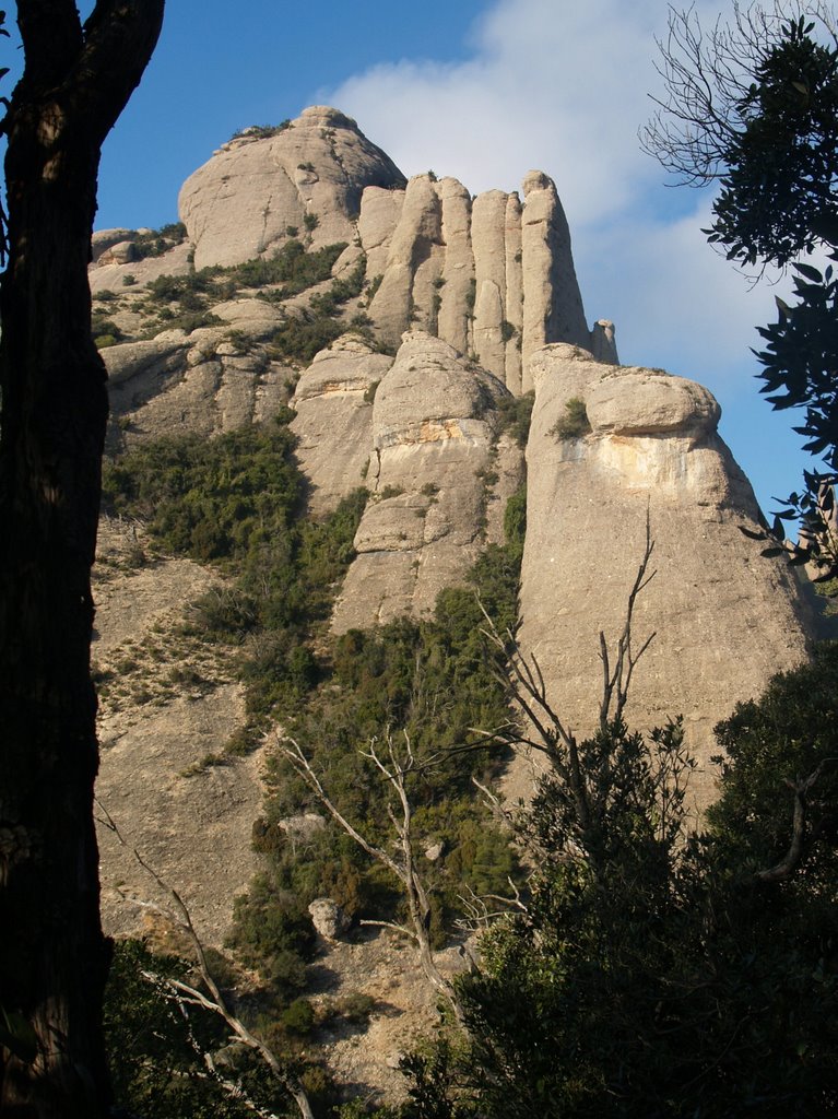 El cim del Montgròs by joaquim_pastor