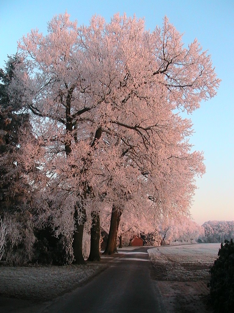 Winterlandschaft by GERNencya09