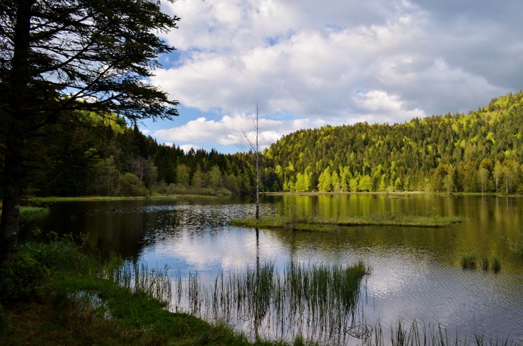 Lac de Lispach by Pakophot