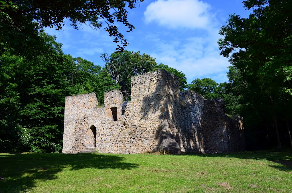 Bąkowa Góra Castle (15th) by tu.andy