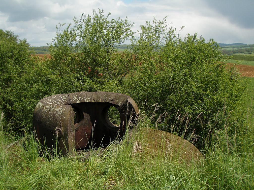 Casemate d'artillerie My8 de Laiterie (75mm cannon) by stevenvanValen+hannekeRolloos