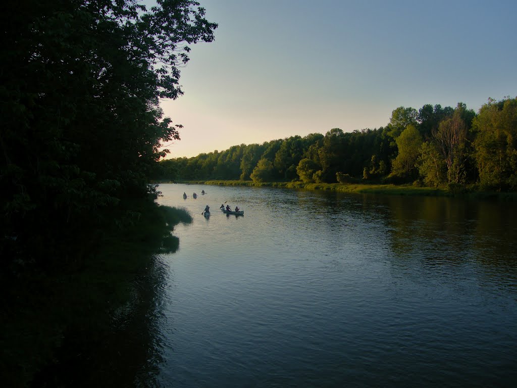 Evening paddle on the Maitland River by sapurcell