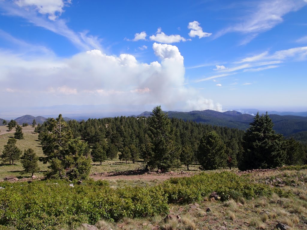 View from the lookout by cbaisan