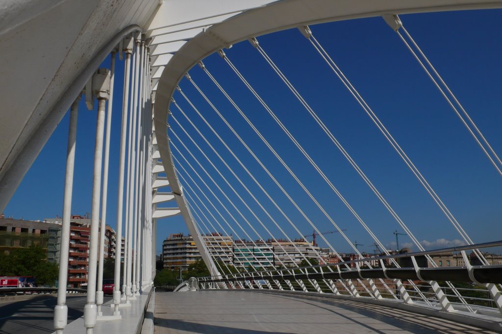 Puente Santiago Calatrava by manoliu