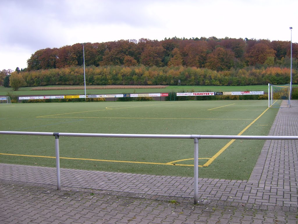 Sportplatz mit Herbstwald by C. Rüger