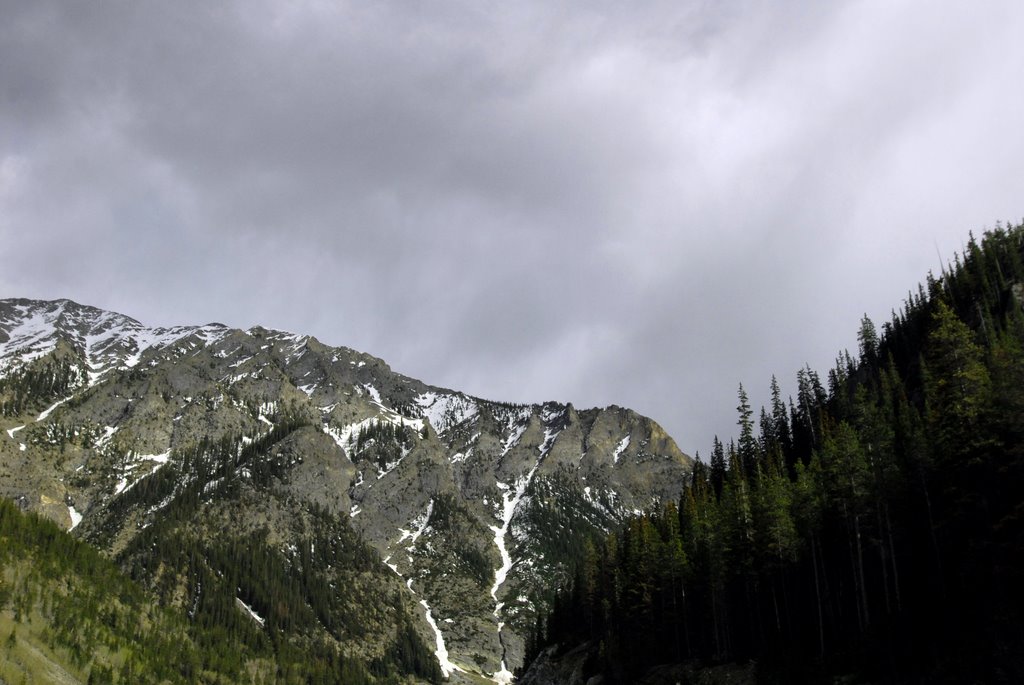 The Rockies by tyler farnes photography