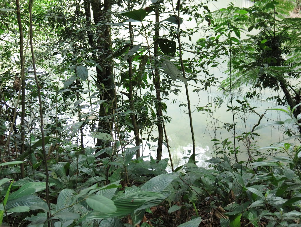 Parque Alfredo Volpi - Morumbi, São Paulo, SP, Brasil. by André Bonacin