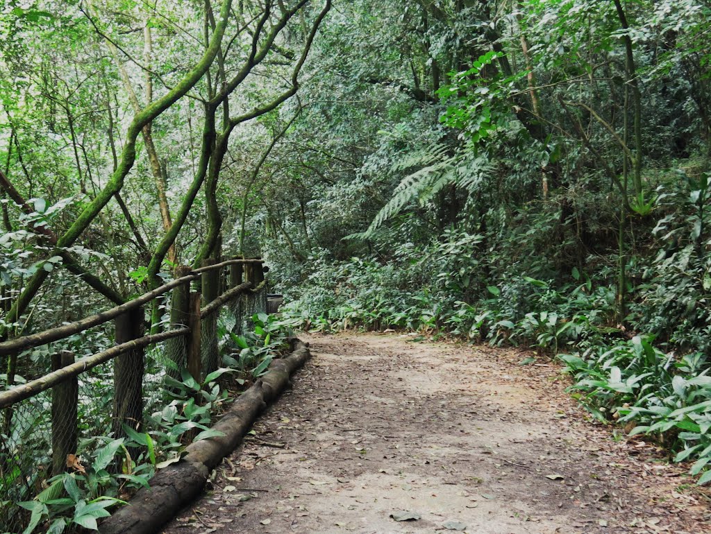 Parque Alfredo Volpi - Morumbi, São Paulo, SP, Brasil. by André Bonacin