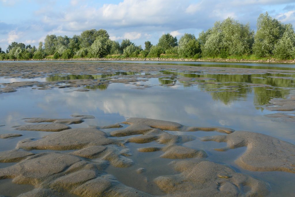 Białobrzegi-Nad Wisłą-Mozaika by Piotr Matyga