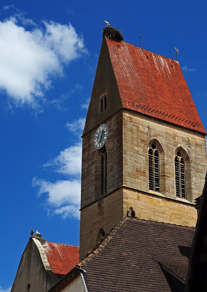 Eguisheim, ooievaar (Ciconia ciconia) by Isaie D