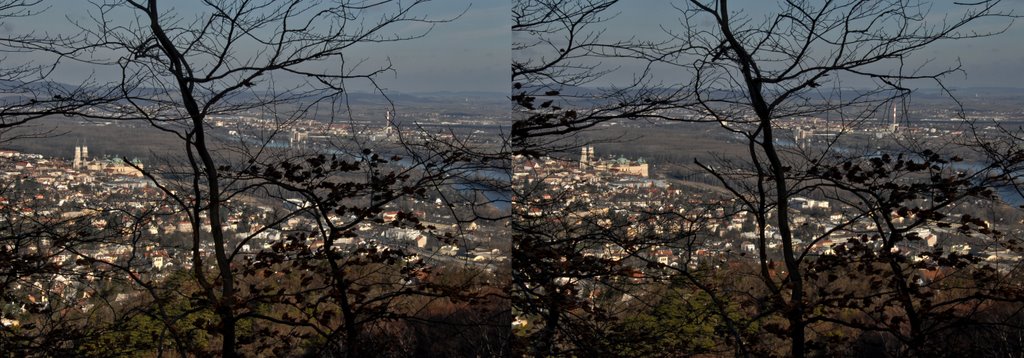 X3D - Blick vom Kahlenberg Richtung NO, links das Stift Klosterneuburg by © Sonny☼3D