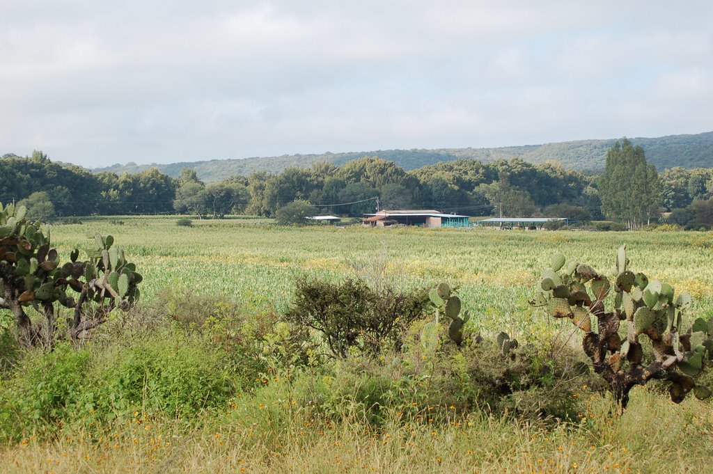 Rancho Anacaspiloya by CHUY EL KOMINO