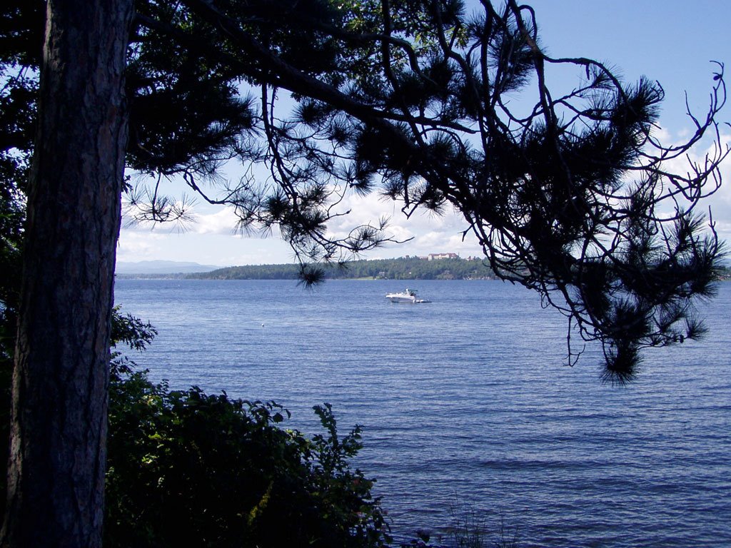 Crab Island, Lake Champlain by Jim Millard