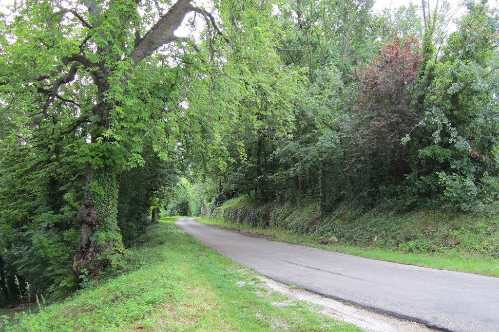 Le Chemin des Borderies, au BLANC (Indre). by JOJO 4 9