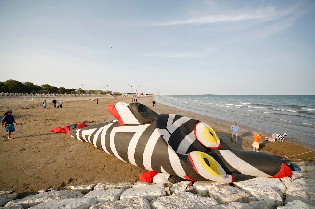 Fish on the beach by longdistancer