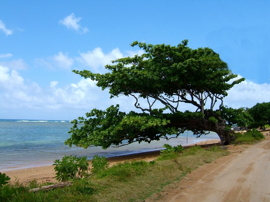 Anini Beach by casf115