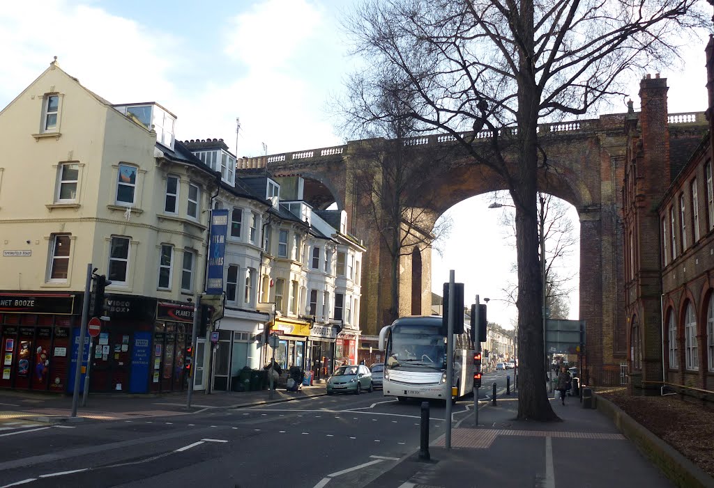 BRIGHTON RAILWAY VIADUCT PRESTON ROAD by Alan McFaden