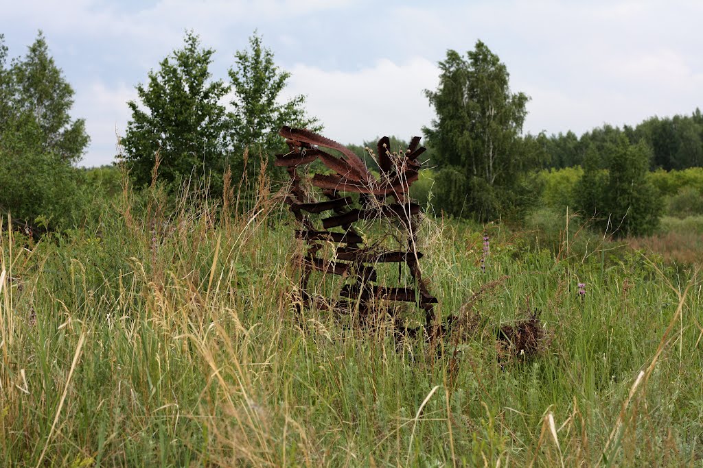 The old plow in a field by unclefed