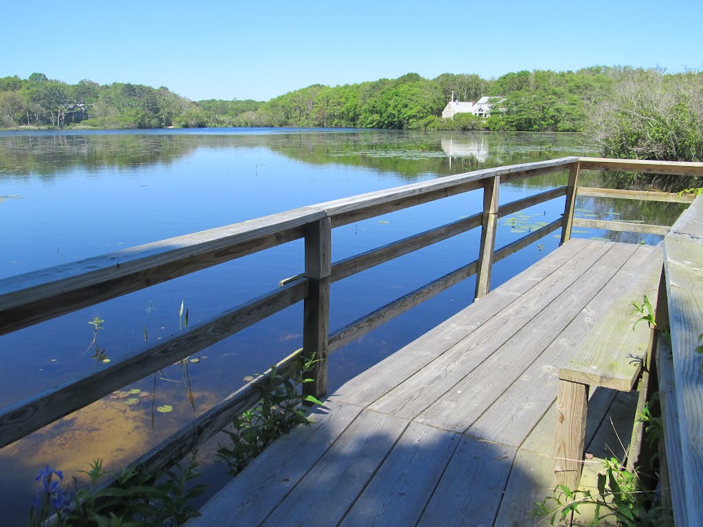 Lake Elizabeth by Alan Brodie