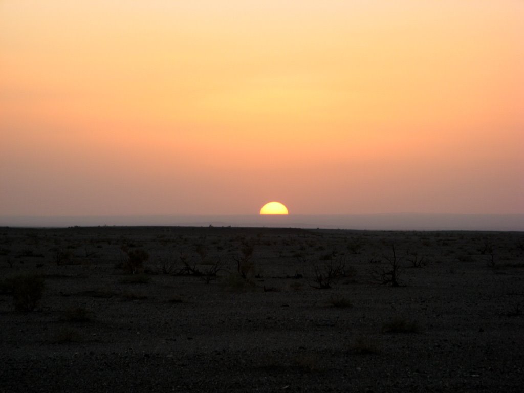 Black Gobi Desert by Olegus P.