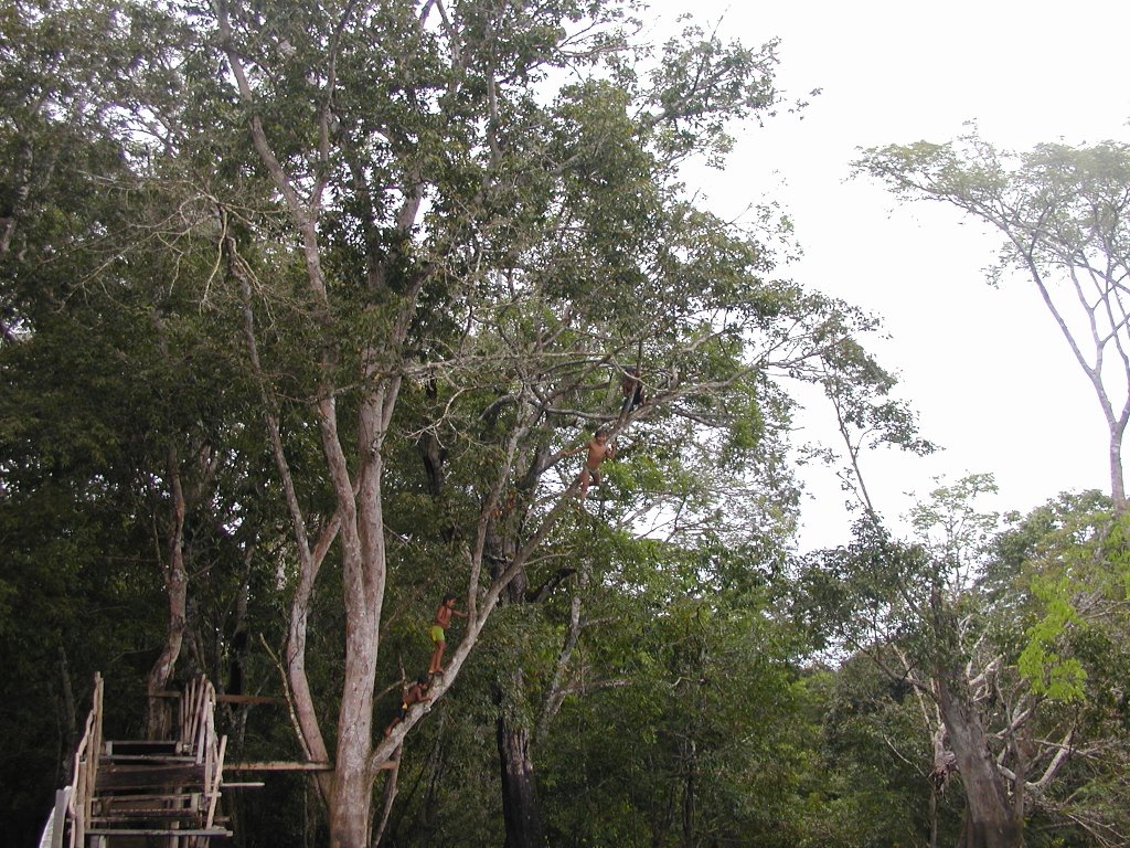 Crianças da Floresta Amazônica by lintte