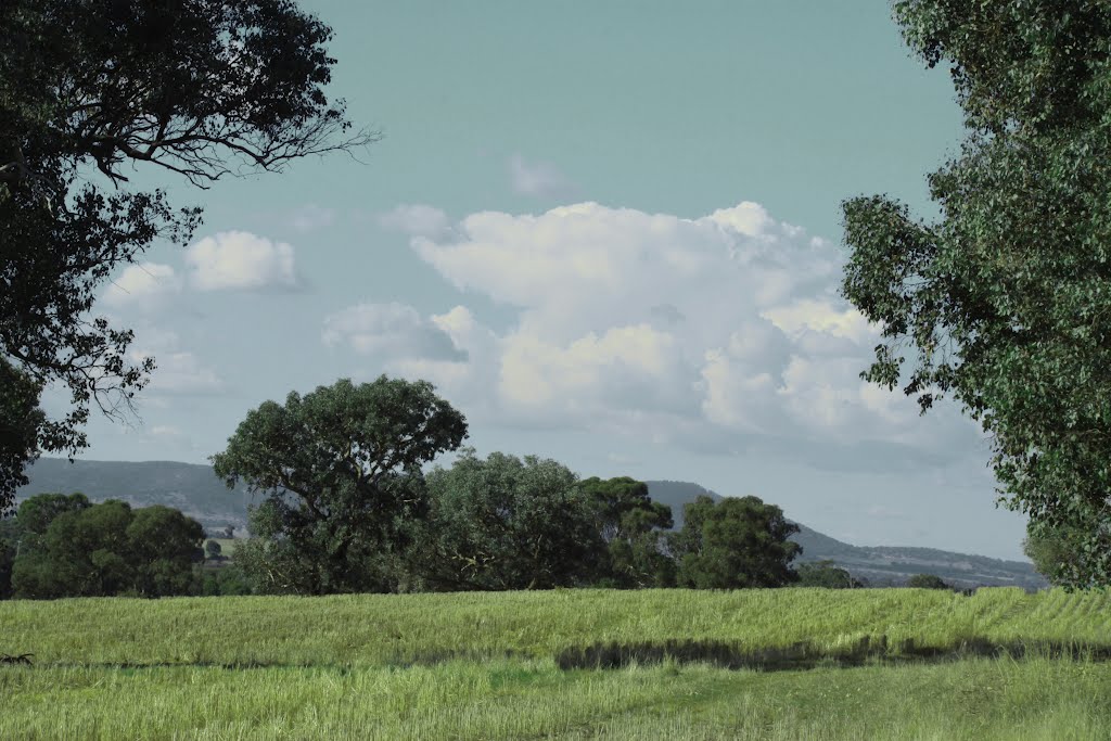 Along Hume Hwy by ΅ PhotoKazia ΅