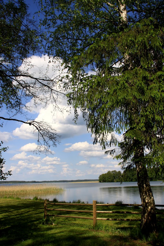 View onto the lake by coolbush