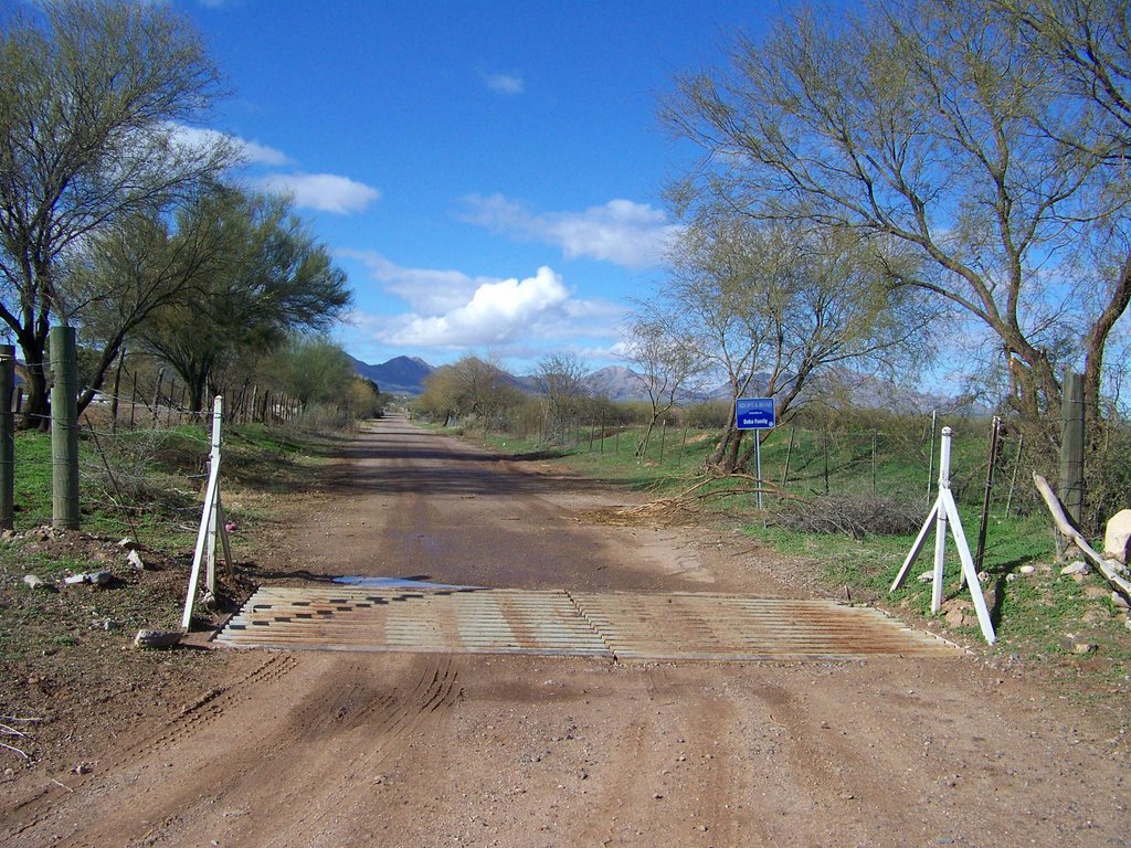 Cattle guard on BA-HON-NAH St. facing west by MAL10587