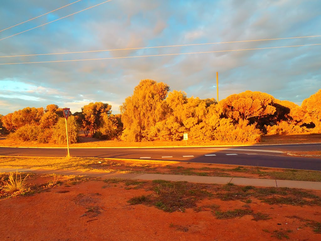 Roundabout Cartledge and McDouall Stuart avenues by Geniene Prater