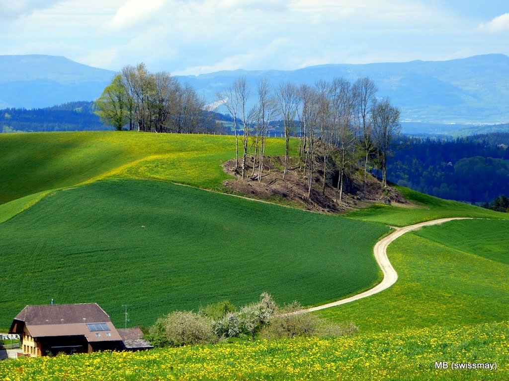 Mb - view towards the Jura Mountains by ♫ Swissmay