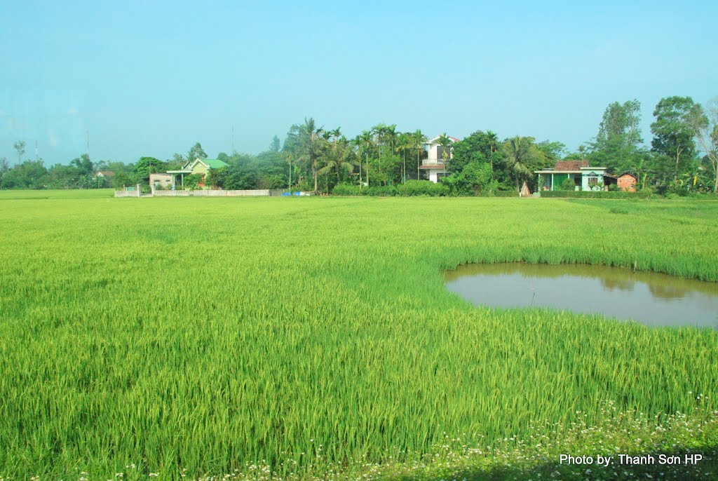 Dấu vết (hố bom) chiến tranh ở cánh đồng lúa phía Nam sông Bến Hải by Nguyễn Thanh Sơn