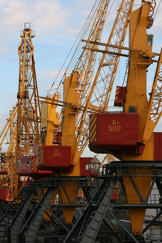 Cranes in Odesa Port by Vojta Srejber