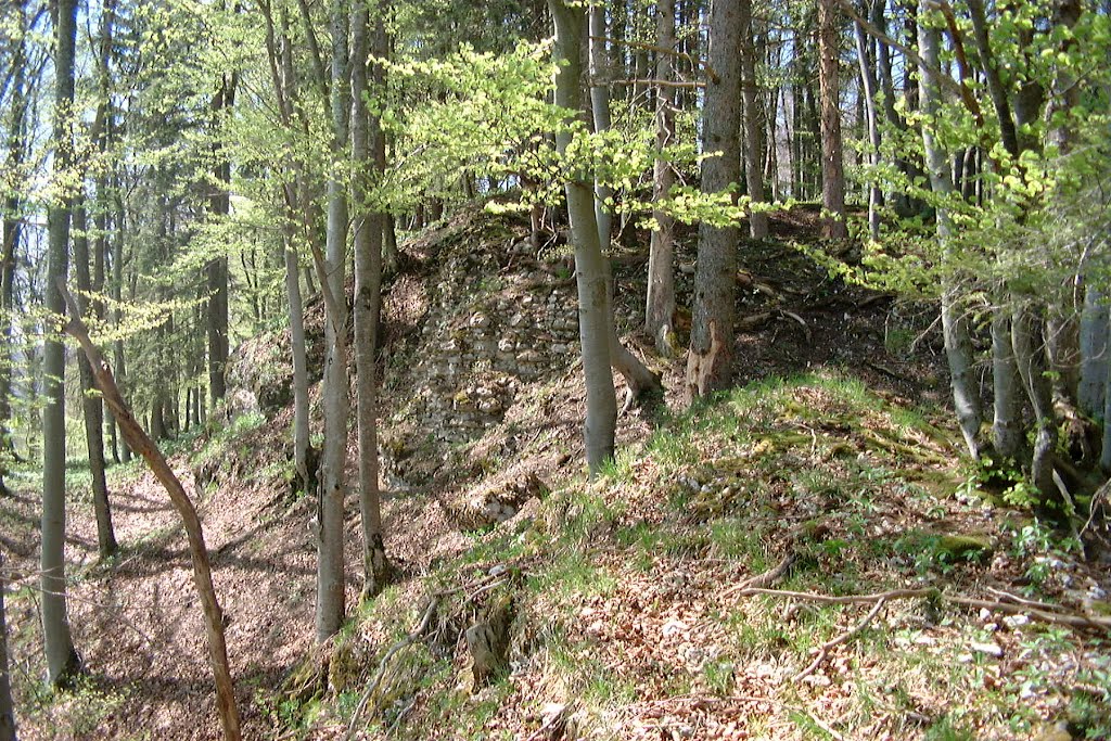 Ruine Neuentierberg by w.schuh.