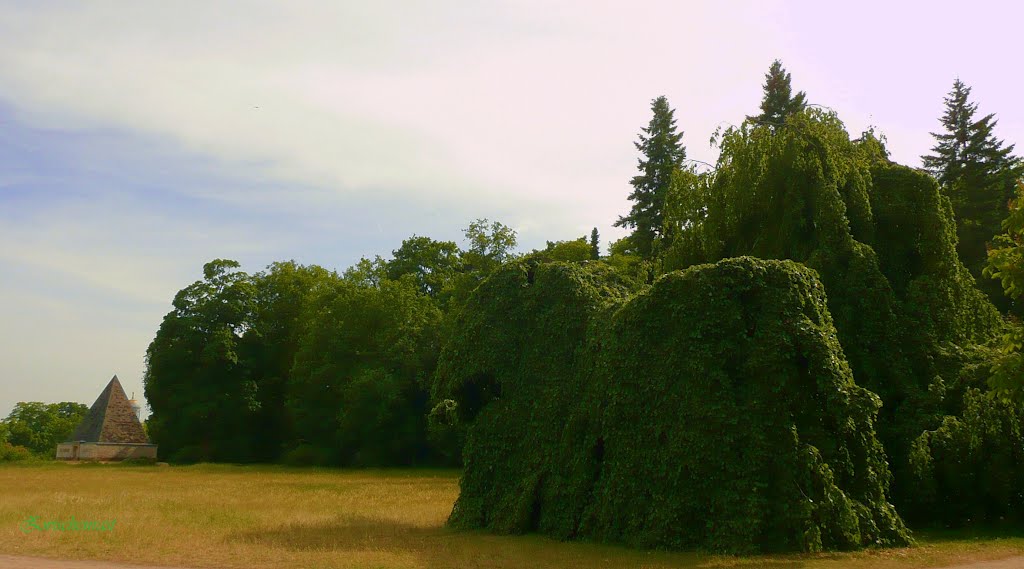 **Da staunt der Laie- sogar über Elephanten und Pyramiden im Neuen Garten von Potsdam** by Zwischenrast