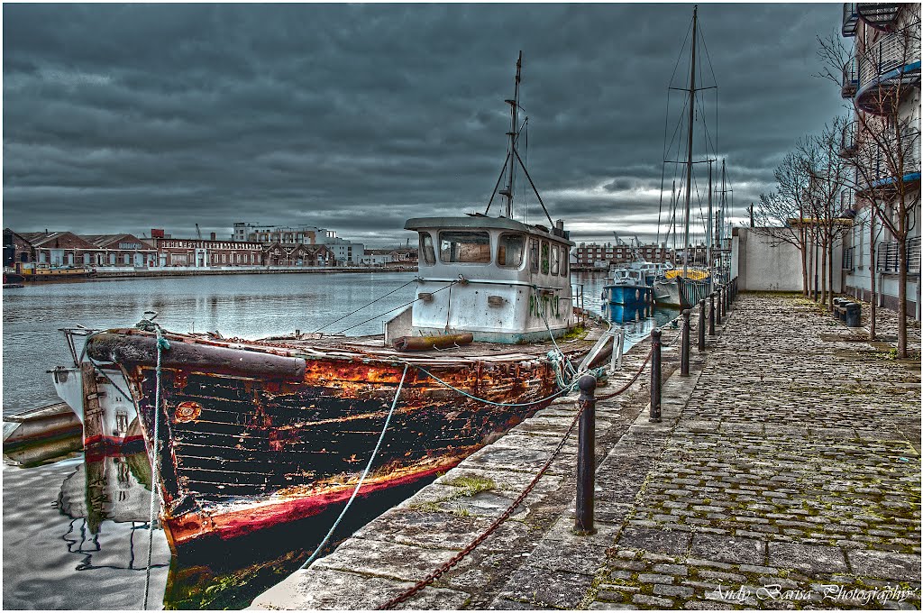 Gran Canal Dock by andybarisaphotography