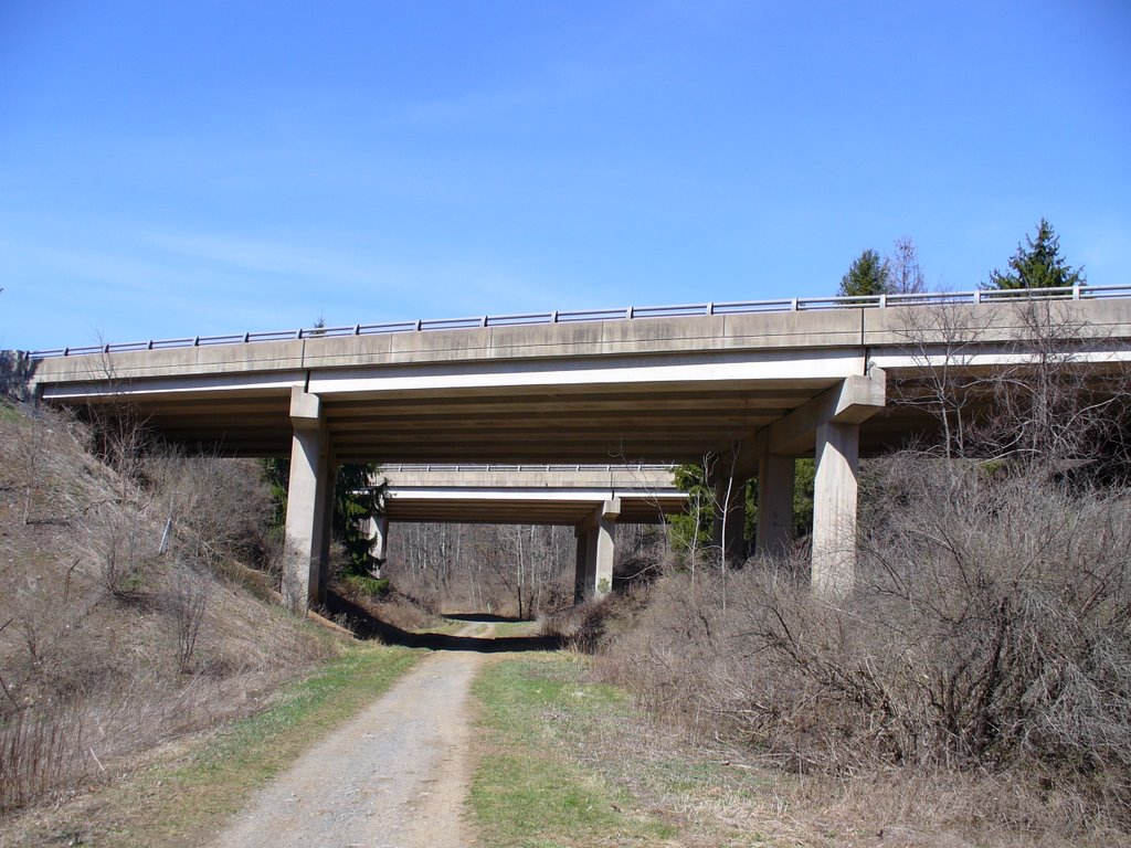 Mt. Nittany Expressway Over Bellefonte Central Rail Trail by njmeadowlanders