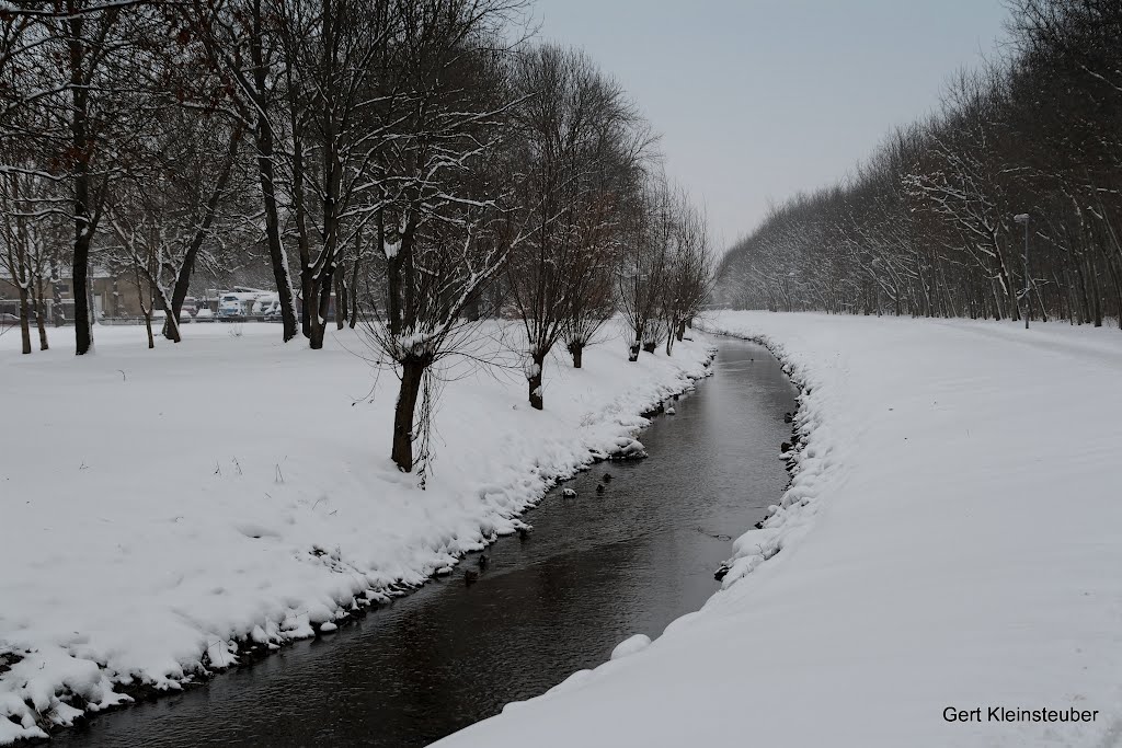 Lober im Winter 2010/11 by Gert Kleinsteuber