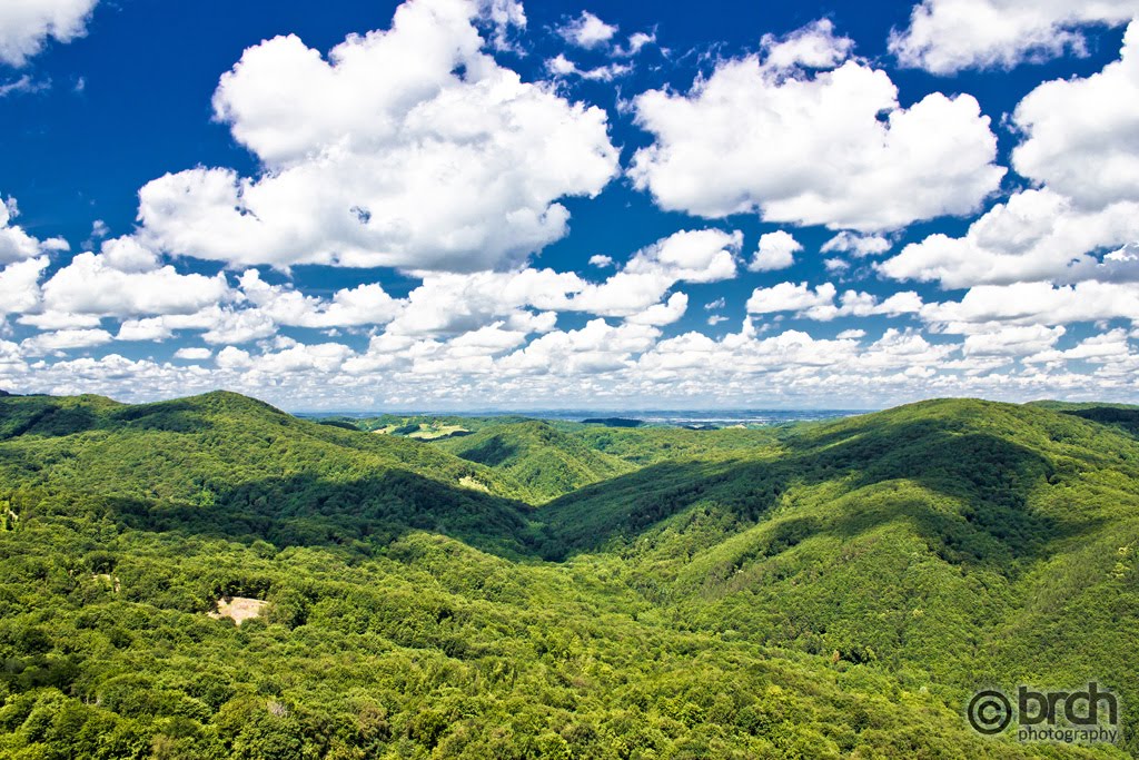 Green forests of Kalnik by brch