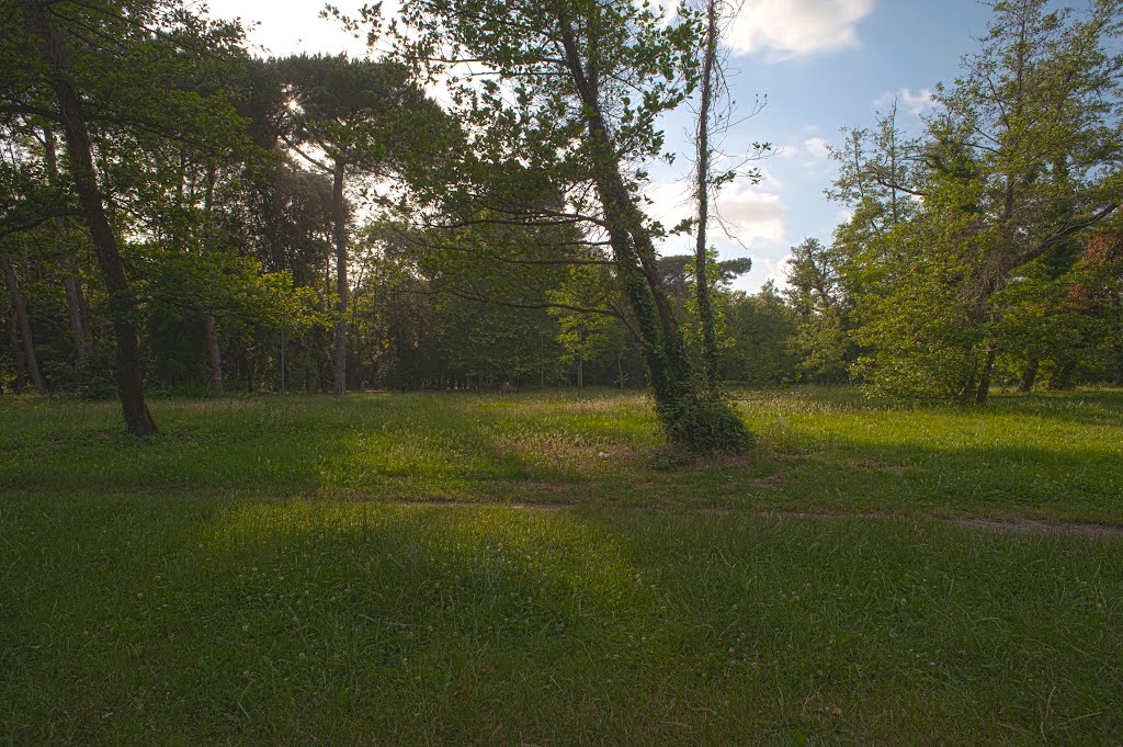 Pineta di Ponente HDR_Test3 by egsani