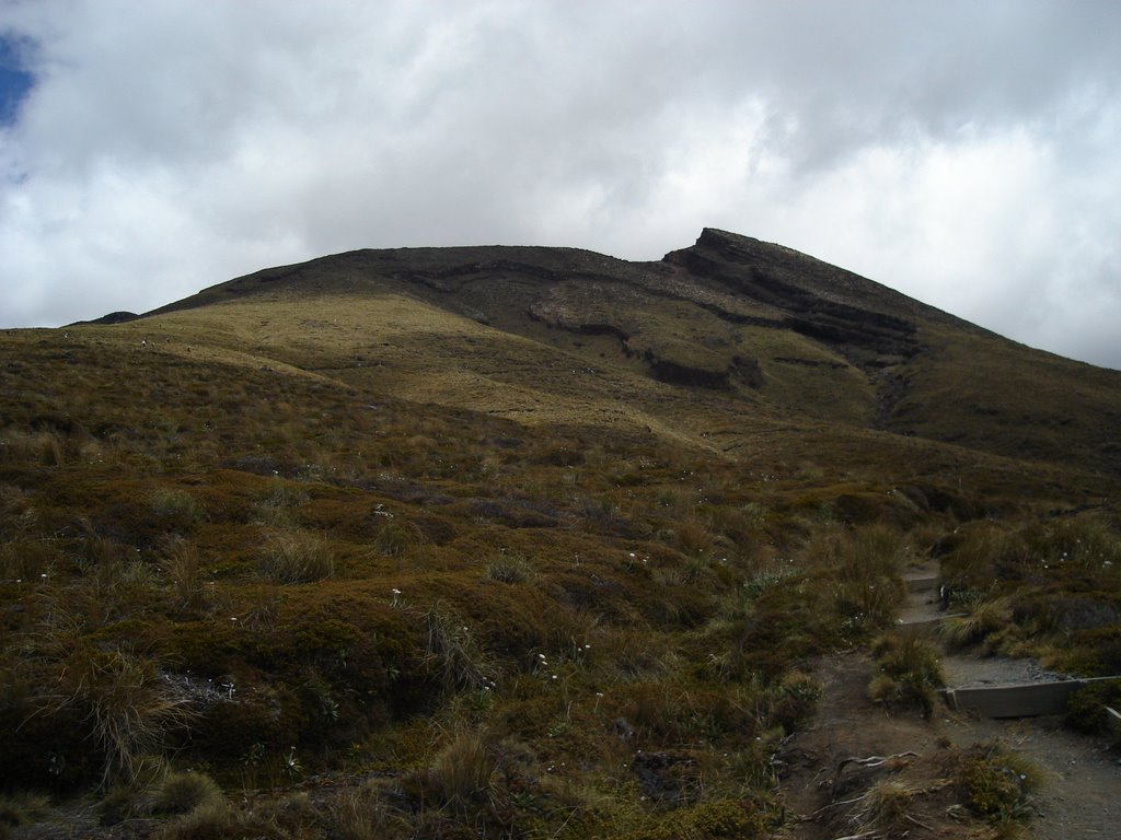 Ruapehu District, Manawatu-Wanganui, New Zealand by Tim Sherman