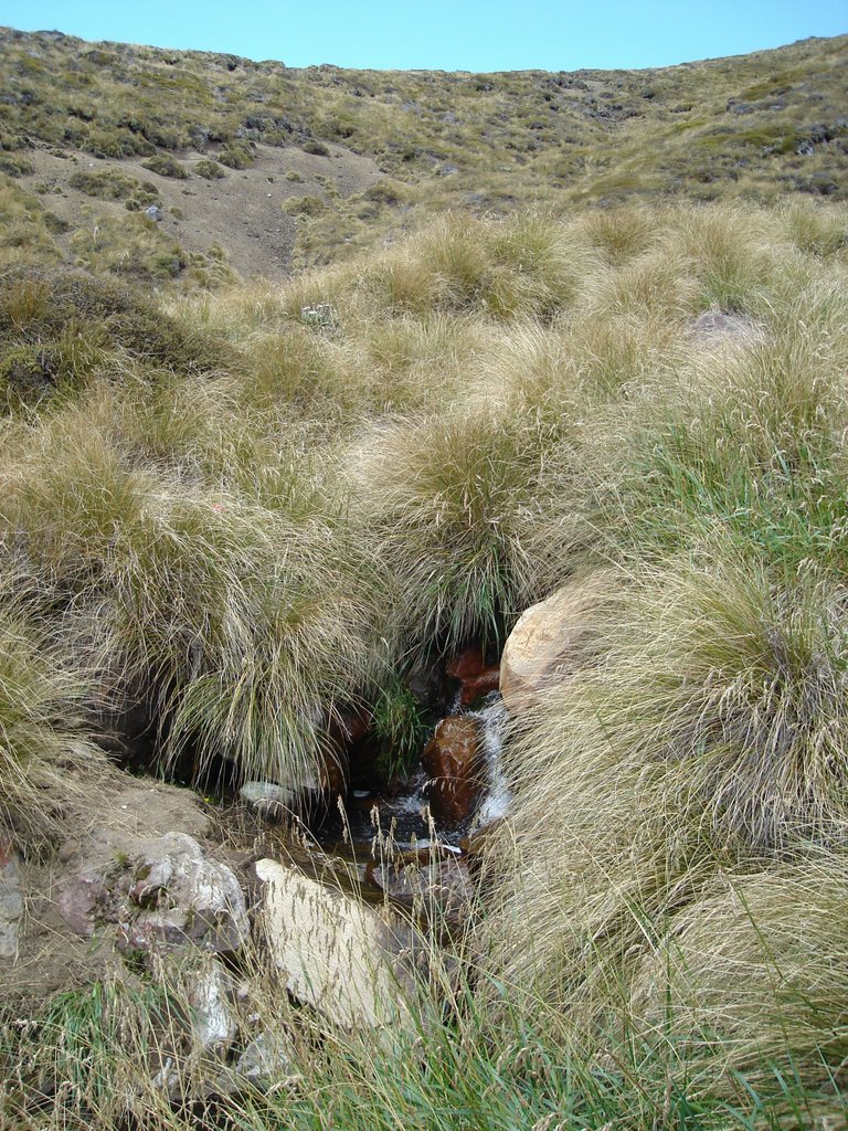 Ruapehu District, Manawatu-Wanganui, New Zealand by Tim Sherman