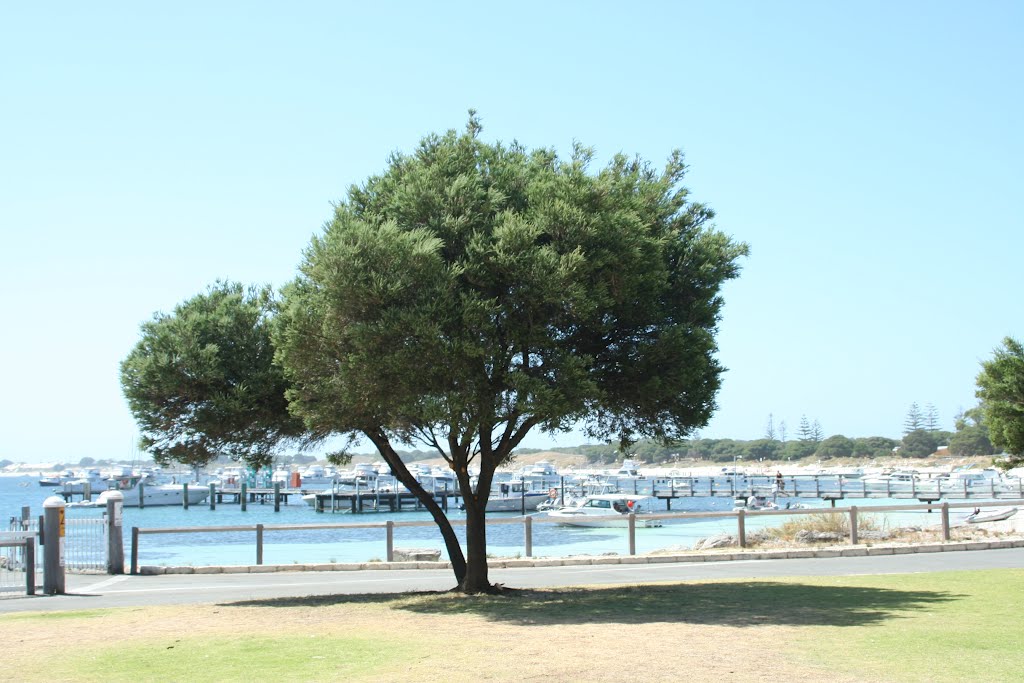 Tomson Bay, Rottenest Island WA by Don Williams