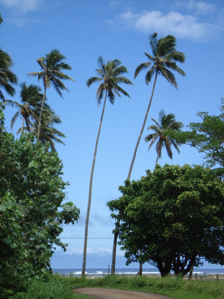 Rarotonga, Cook island by Chris foto's