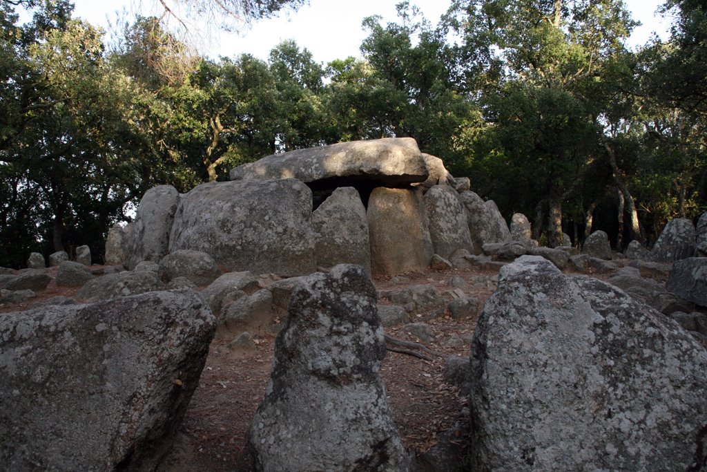 Cova d'en Daina by F. Nogués