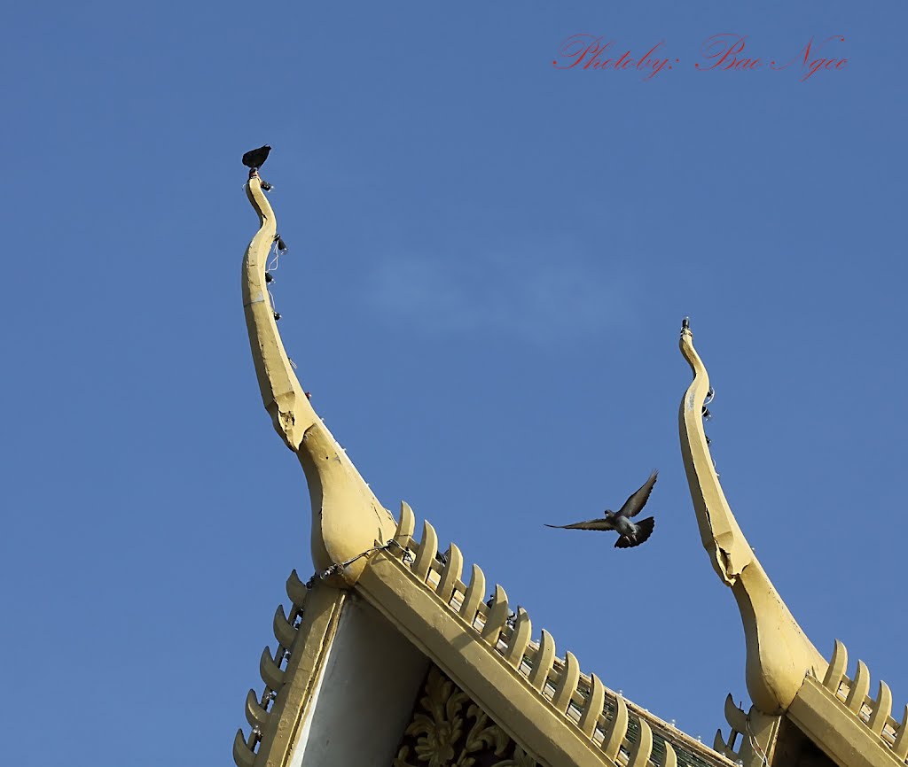 Hoàng cung -Palace by Bảo Ngọc