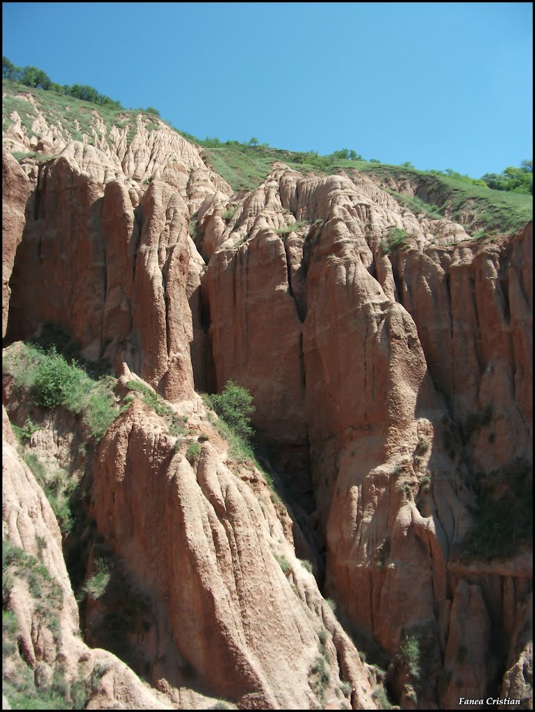 Rezervaţia Naturală Râpa Roşie / Sebeş. by Fanea  Cristian