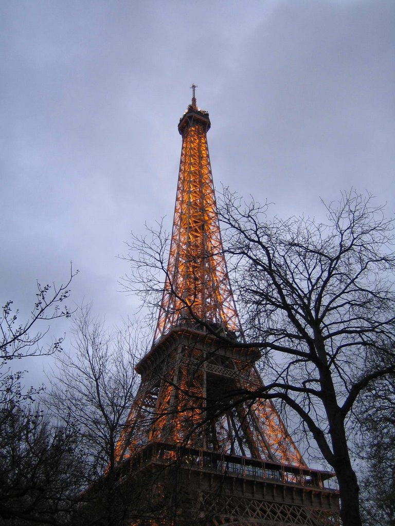 La tour Eiffel by D. Froliner