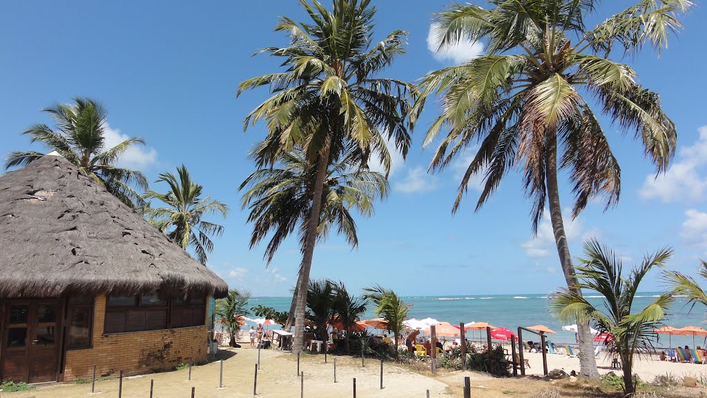 Praia de Ponta Verde - Maceió - Alagoas - Brasil by Paulo Yuji Takarada