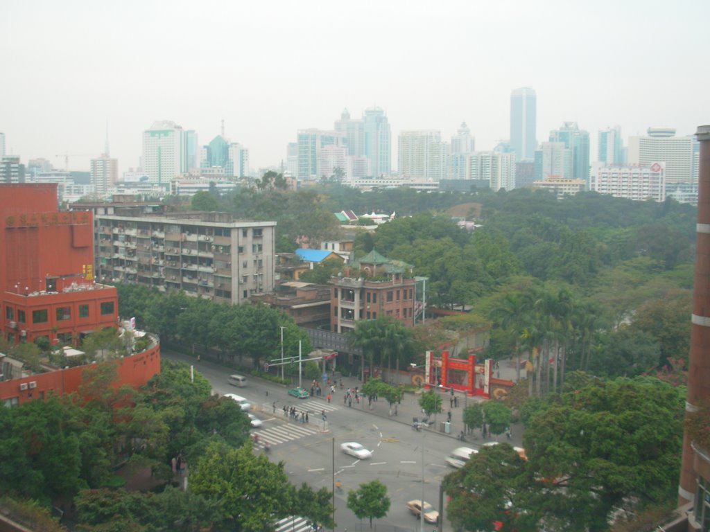 View of Martyr's Park from The Guangdong Provincial People's Hospital (Level 8) by That Photographer Guy