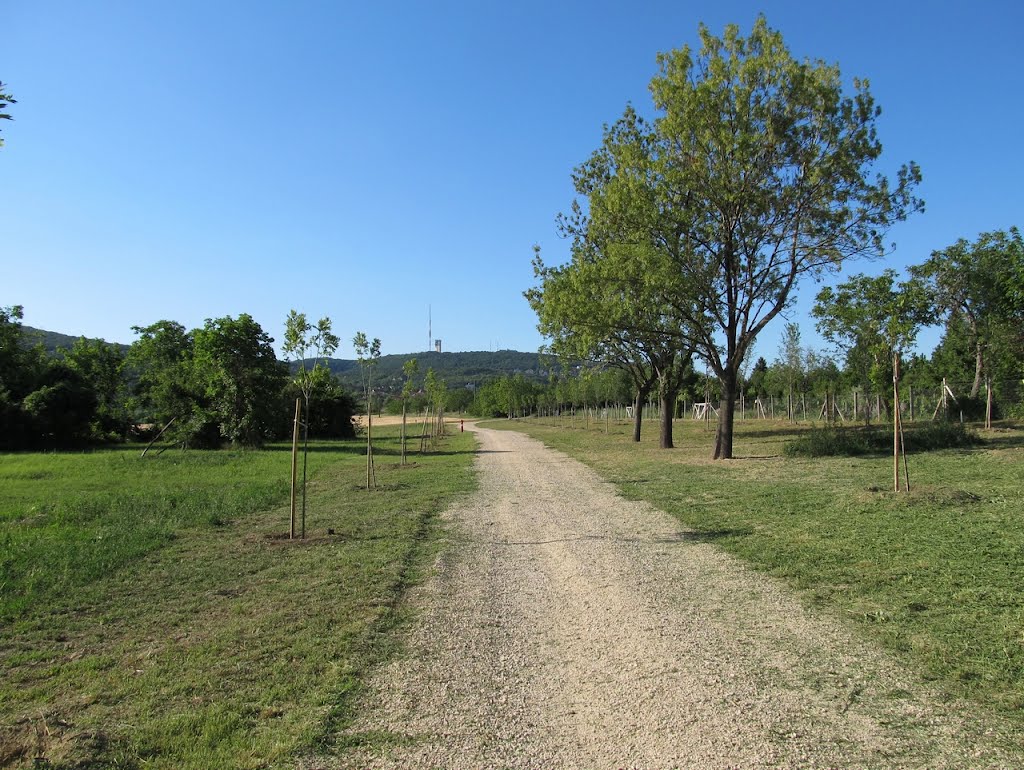 201206161747 Tájkép (XI. kerület, Madárhegy utca) by Harmadik